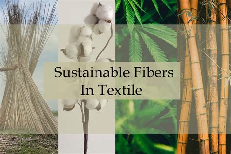  Hemp Fiber Textiltillverkning och Hållbarhetsrevolutionen!