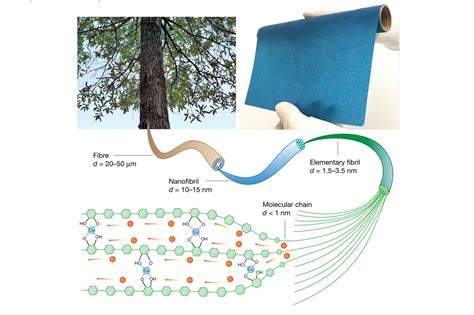 Cellulose Nanofibrils – En ny era för förstärkta biokompositmaterial!