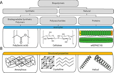 Kasuvar: En djupdykning i en mångsidig biopolymer med fantastiska egenskaper för textilindustrin och livsmedelsinpackning!