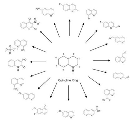 Quinoline Derivat – En Essential Komponent i Farmaceutiska Produkter och Polymerer!